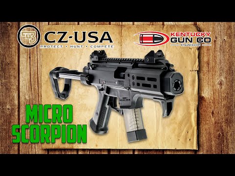 CZ Scorpion EVO 3 S2 Pistol Micro w/ Brace Review & Range